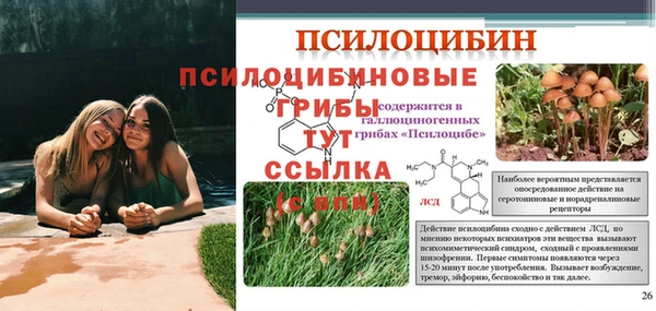 mdpv Арсеньев