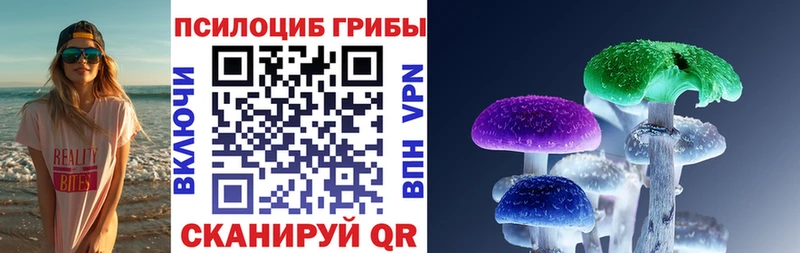 где найти наркотики  Никольское  Галлюциногенные грибы мицелий 